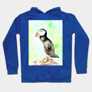 Puffin Watercolour Painting Hoodie